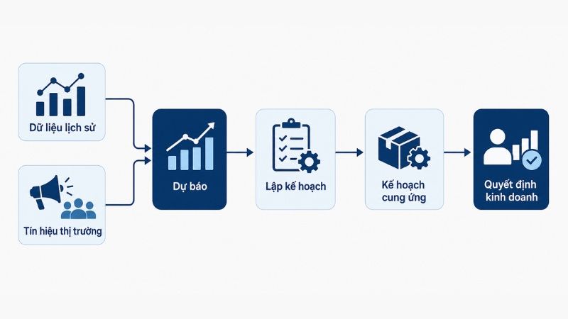 Demand Planning trong chuỗi cung ứng và quy trình ra quyết định doanh nghiệp