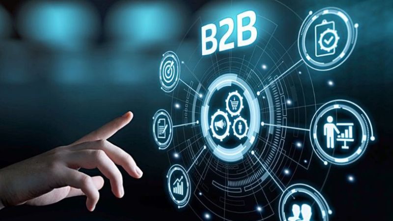 B&agrave;i viết ph&acirc;n t&iacute;ch chuy&ecirc;n s&acirc;u cho mảng B2B