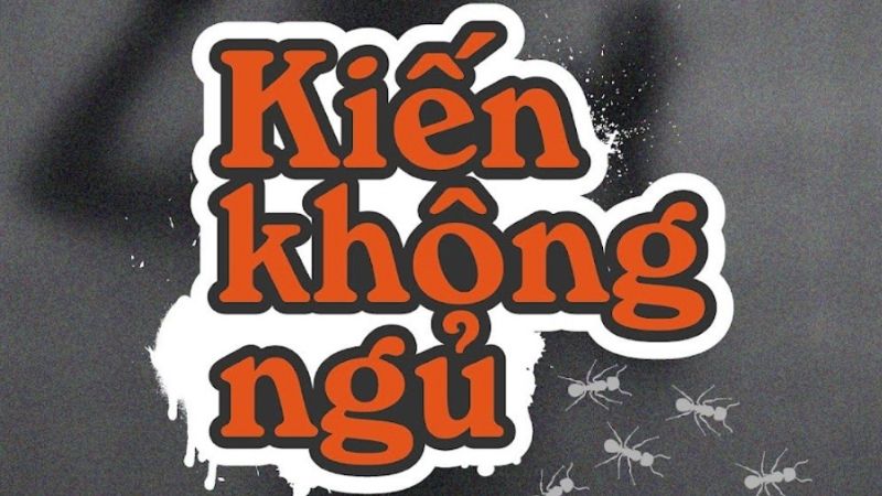 KOL giáo dục KIẾN KHÔNG NGỦ