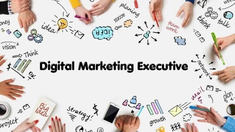  Digital Marketing Executive là vị trí nòng cốt, đóng vai trò quan trọng trong doanh ng