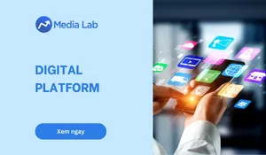 Digital platform là gì? Lợi ích và các loại digital platform phổ biến
