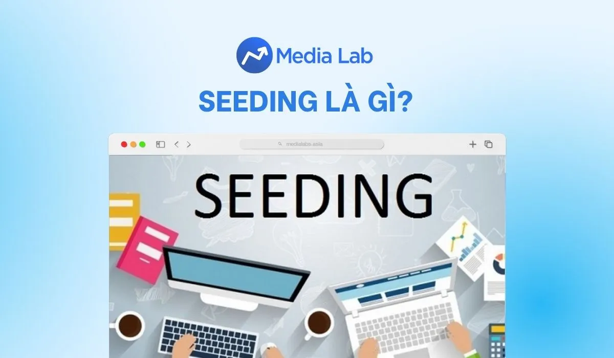 Seeding là gì? Cách triển khai chiến dịch hiệu quả không spam