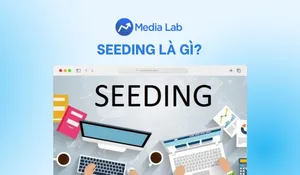Seeding là gì? Cách triển khai chiến dịch hiệu quả không spam