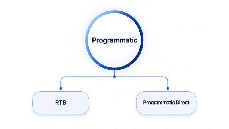 Programmatic Direct và RTB là một phần của Programmatic